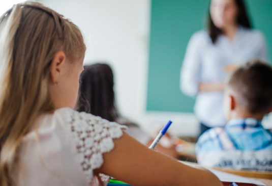 Curs a distancia Mestre primaria